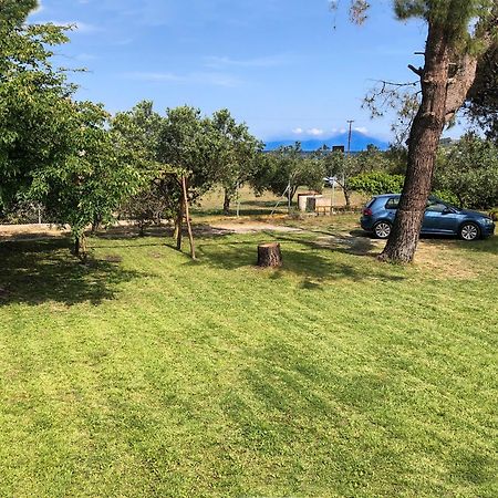 Athos View Villa By The Sea Ormos Panagias Luaran gambar